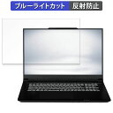 iiyama SENSE-17WG181-i7-VL2X 17.3インチ 16:9 向けの 保護フィルム 【反射低減】 ブルーライトカット フィルム(2)