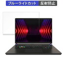 【ポイント2倍】 MSI Vector 17 HX A14V 17インチ 16:10 向けの 保護フィルム 【反射低減】 ブルーライトカット フィルム(2)