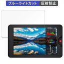 OSEE G7 / OSEE T7 向けの 保護フィルム ブルーライトカット フィルム 【反射低減】 日本製(2)