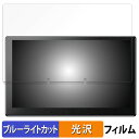 【ポイント2倍】 ATOTO X10 向けの 保護フィルム ブルーライトカット フィルム 【光沢仕様】 日本製