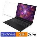 【ポイント2倍】 FRONTIER FRXNM714/KD2 16インチ 16:10 向けの 保護フィルム 【光沢仕様】 ブルーライトカット フィルム(2)