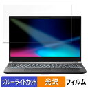 THIRDWAVE GALLERIA RL7C-R45-5N 15.6インチ 16:9 向けの 保護フィルム 【光沢仕様】 ブルーライトカット フィルム(2)