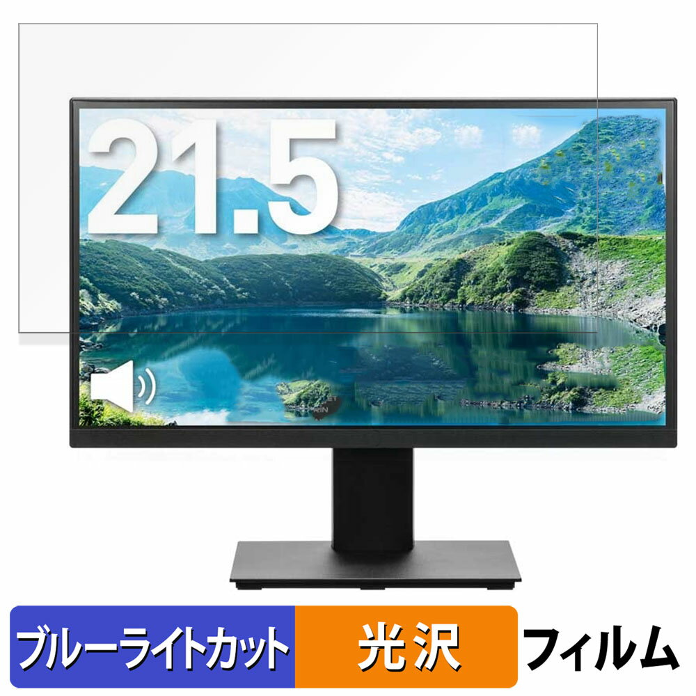 PRINCETON PTF-H221W-BK  21.5 16:9 ֥롼饤ȥå ե վݸե 