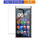 HiBy Music HiBy Digital M300 向けの 保護フィルム ブルーライトカット フィルム 【光沢仕様】 日本製