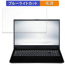 楽天ライフイノテック　楽天市場店iiyama STYLE-15FX164-i7-RMEX-D 15.6インチ 16:9 向けの 保護フィルム 【光沢仕様】 ブルーライトカット フィルム