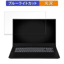 iiyama LEVEL-17WR174-i7-TL4X 17.3インチ 16:9 向けの 保護フィルム 【光沢仕様】 ブルーライトカット フィルム(2)