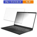 MSI Modern 15 H C13M 15.6インチ 16:9 向けの 保護フィルム 【光沢仕様】 ブルーライトカット フィルム