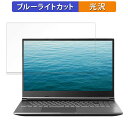 raytrek R5-RL6 15.6インチ 16:9 向けの 保護フィルム 【光沢仕様】 ブルーライトカット フィルム