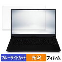 iiyama STYLE-15FH127-i7-UH9X 15.6インチ 16:9 向けの 保護フィルム 【光沢仕様】 ブルーライトカット フィルム