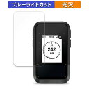 GARMIN eTrex Solar 向けの 保護フィルム ブルーライトカット フィルム 【曲面対応 光沢仕様】 キズ修復 日本製
