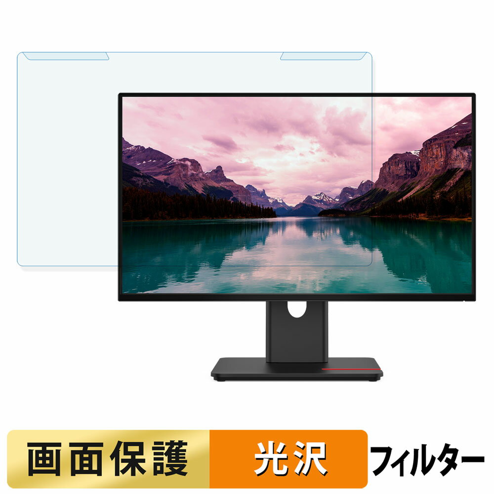 取り外し簡単 Lenovo ThinkVision T24-40 ブルーライトカット フィルター 光沢仕様 液晶保護 プロテクター
