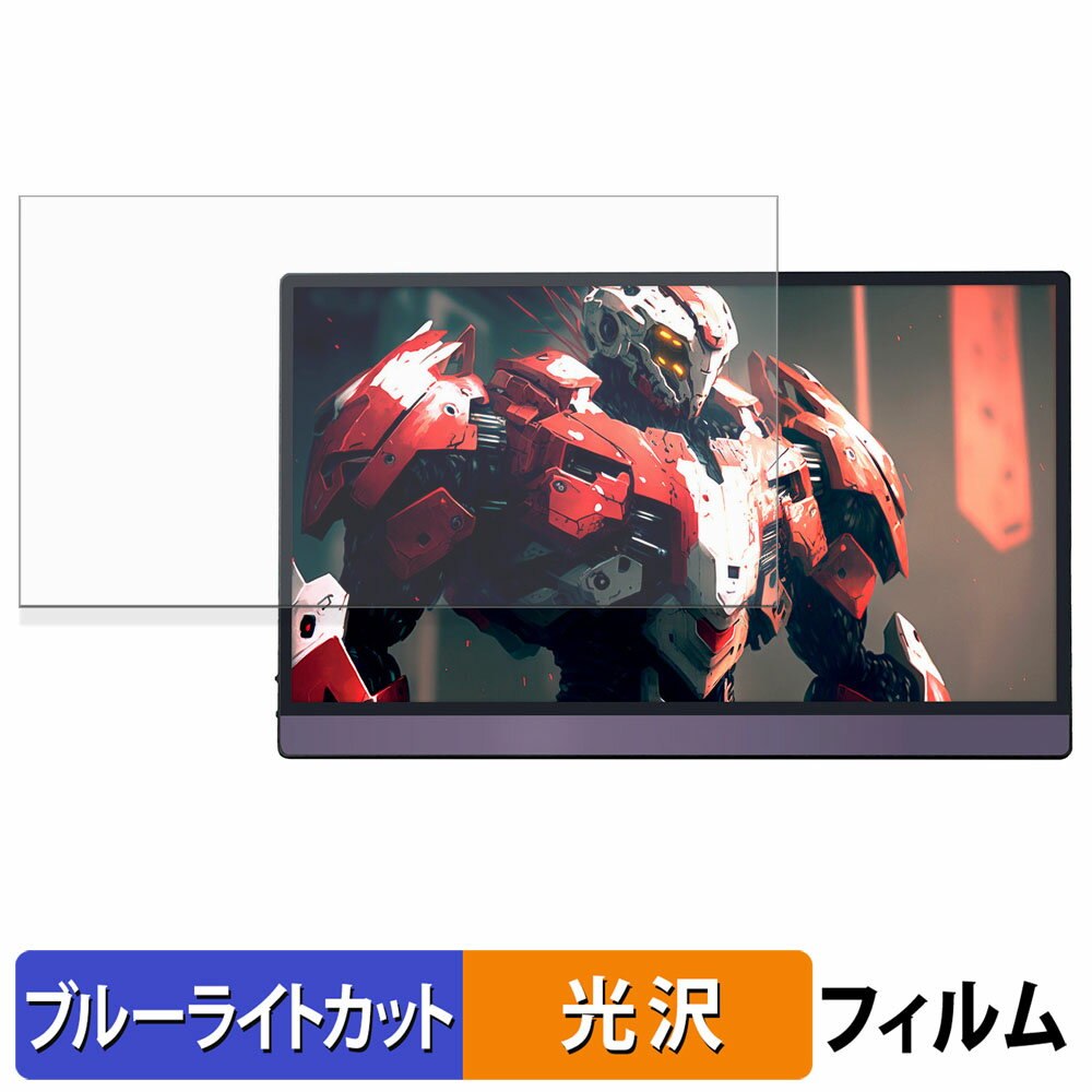 JAPANNEXT JN-MD-156IPS144FHDR ֥롼饤ȥå ե վݸե 