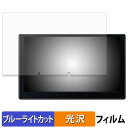 ATOTO X10 ( X10G110E ) 保護フィルム ブルーライトカット フィルム 【 光沢仕様 】 日本製