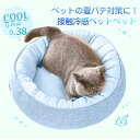 【2個セット2,980円】EMME 猫ベッド あ
