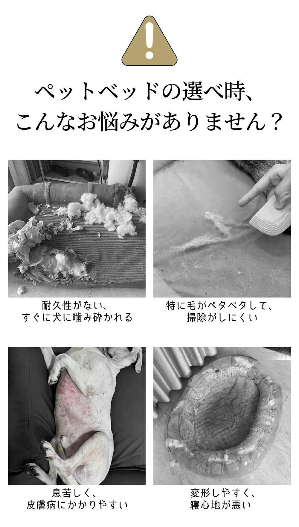 サンプル画像2