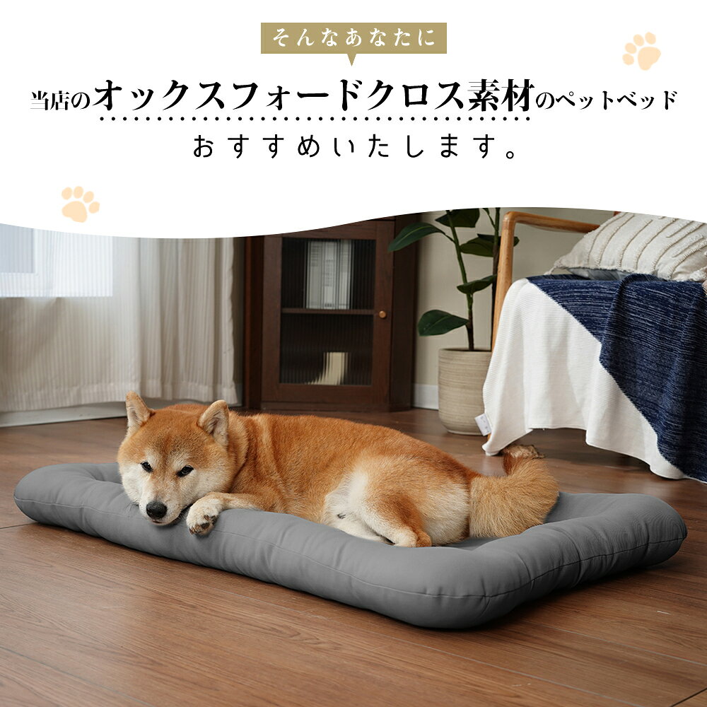 サンプル画像3