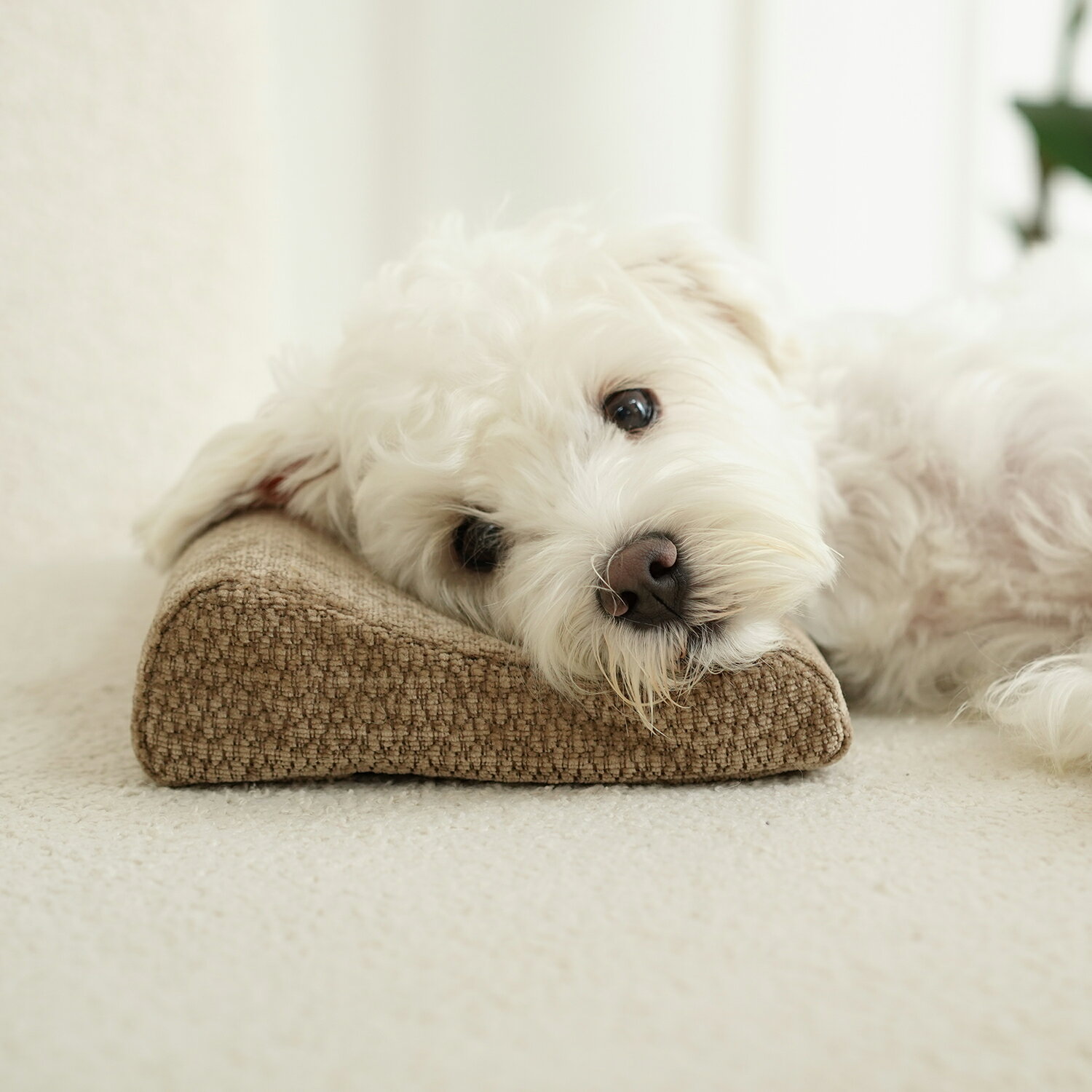 【 茶色】EMME ペット枕 あごのせ枕 シェニール生地 低反発ウレタン ウェーブ枕 柔らか まくら 犬用 猫..