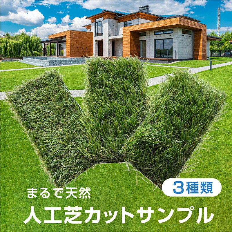 饤եƥꥢ㤨ֿ͹  åȥץ 3 ץ ꥢ͹ ꡼ ʼ Ѹ10ǯ Ķ̩47 Ǿ 35mm 20mm ͹ ͹ ǥ  𥷡Ȱη  к ñ פβǤʤ500ߤˤʤޤ