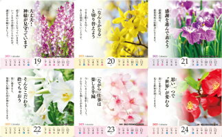 2021卓上型花のある風景‐ScenerywithBeautifulflowers‐