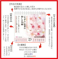 2021卓上型花のある風景‐ScenerywithBeautifulflowers‐