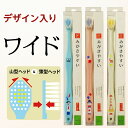 ライフレンジ みがきやすい歯ブラシ ワイド(ふつう)3本セット(※色は選べません) 【田辺重吉考案】