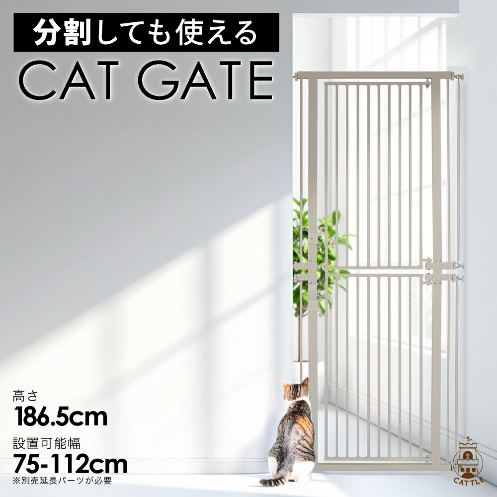 ⤵186.5cmǭæɻߥϥץڥåȥȥͥCATGATEǭȺե󥹤ڥåȥե󥹥ȹ磻ͤĥɥϭإåȥ٥⤤åߤĤäѤӱۤɻߥ곫