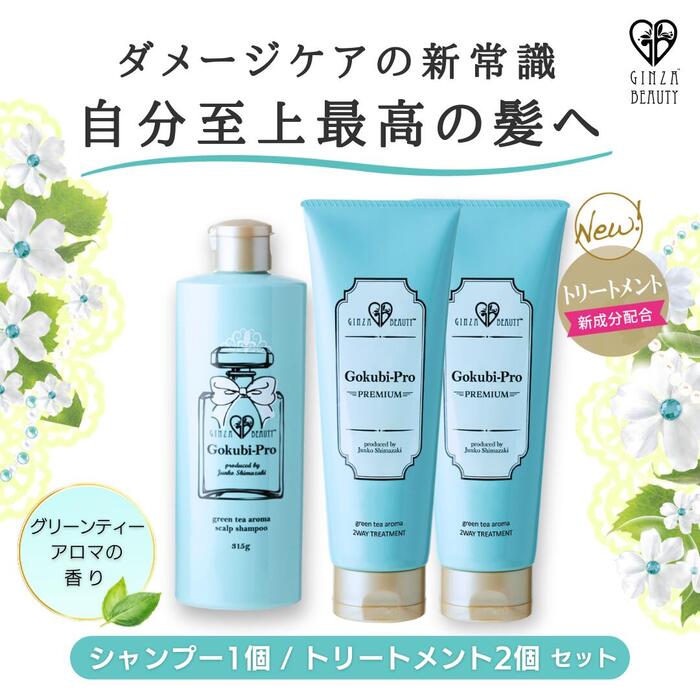 【正規販売店】★ゴクビプロ リバースケアセット(トリートメント2個＆シャンプー1個)★送料・代引き手数料無料★送料無料★弱酸性 低刺激　ダメージケア 頭皮 抜け毛 スカルプシャンプー アロマオイル シャンプー リバースケア ギフトのサムネイル