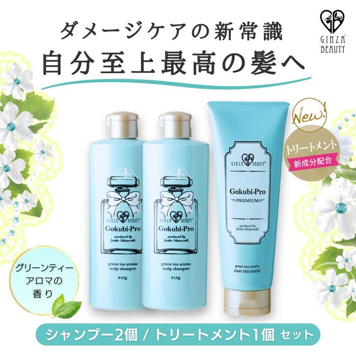 ゴクビプロ スカルプケア セット シャンプー2個＆トリートメント1個のセット★送料・代引き手数料無料★弱酸性 低刺激 ダメージケア 頭皮ケア 抜け毛 スカルプシャンプー アロマオイル シャンプー スカルプケア 正規販売店のサムネイル