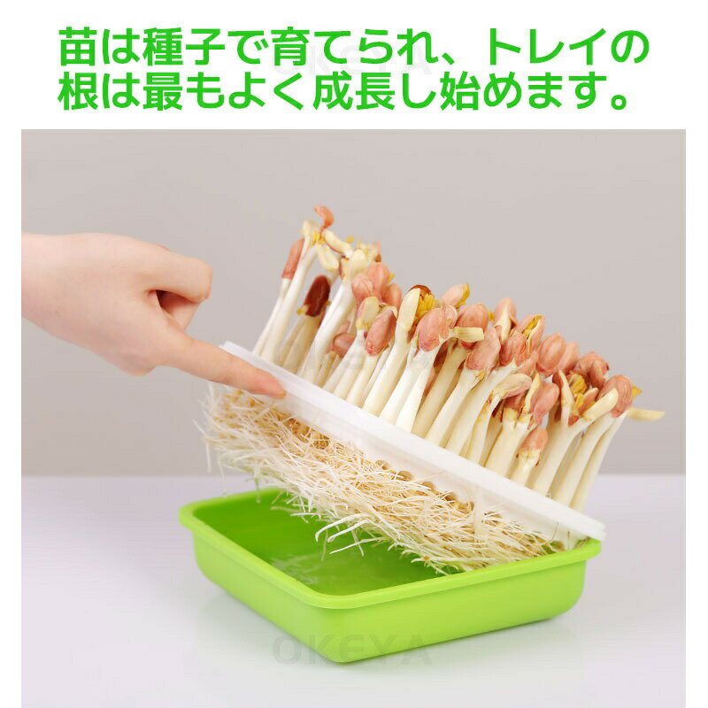 ����Ѷ� �����ڱ� ��䤷�ʤ� ����� ��Ʀ �֥��å��꡼���ץ饦�� ��ʪ���� ȯ������ �̵��� �ѵ��� ��Ȣ �����ƴ� �ȥ졼 ��̺��� ̵�ھ� �ȥ쥤 ȯ�� �ԡ��ʥåĿ�̺��ݥܥå��� ���ĥȥ쥤 ��䤷���� ���ĥݥå� ���ݥ��å� ���ץ饦��