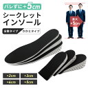 【新発売記念 20%OFFクーポン】シークレットインソール インソール 厚底 厚め インヒール 身長アップ 中敷き 身長UP 厚手 足長 2cm 3cm 4cm...