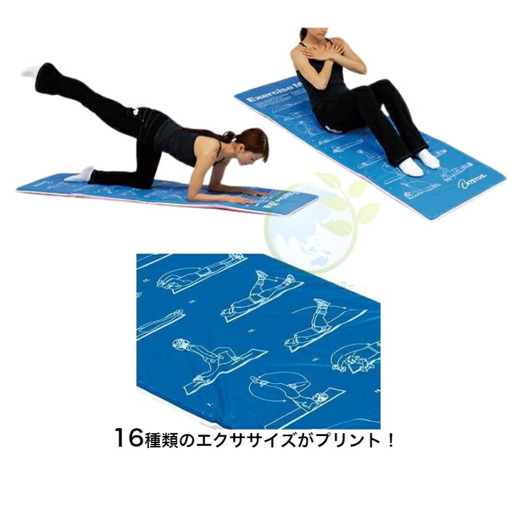 やさか介護センターの送料無料【エクササイズマットST】トーエイライト 体幹強化 リハビリ トレーニング エクササイズ リバーシブル ストレッチ 筋トレ ヨガヨガマット 血圧対策 ダイエット 運動 訓練 脳トレ 認知症予防　健康支援 生活支援 ながら運動 施設 病院｜アングル2