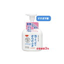 【ハビナース 泡でさっぱりからだふき 500mL】介護用品 衛生用品 泡タイプ 蒸しタオル 清拭シート すすぎ不要 介護 入浴 清拭剤 清拭料 福祉 サービス 高齢者 デイサービス 災害時用備品 避難所 防災グッズ 備蓄品