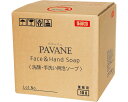 ダイト PAVANE 洗顔・手洗い用泡ソープ パパーニュ |ウィルス対策 食中毒対策 手洗いせっけん 殺菌 手指殺菌剤 きれいきれい 詰替え用 詰替用 お徳用(4)