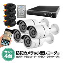 防犯DVR+カメラ4台+20m延長ケーブル4個+HDD(1TB)セット マウス付き操作便利 高性能 レコーダー フルセット LP-DVR6004FUSET 送料無料(3)