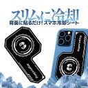 スマホ冷却シート 背面に貼るだけ スリムに冷却 薄さ1mm スマホ放熱シート 冷却用 急速放熱 熱伝導 LP-LEGDA28 送料無料