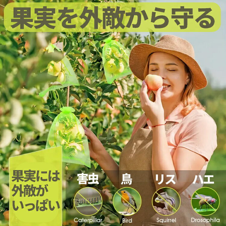 ��50�祻�åȡ۲̼��� ����ͥå� �̵� ��ʪ�ݸ��� �碌����� �����Ļ������ ������ɻ� Ļ�ﳲ�к� �ե롼�Ľ�ͽ�� LP-FPBG50S ����̵��