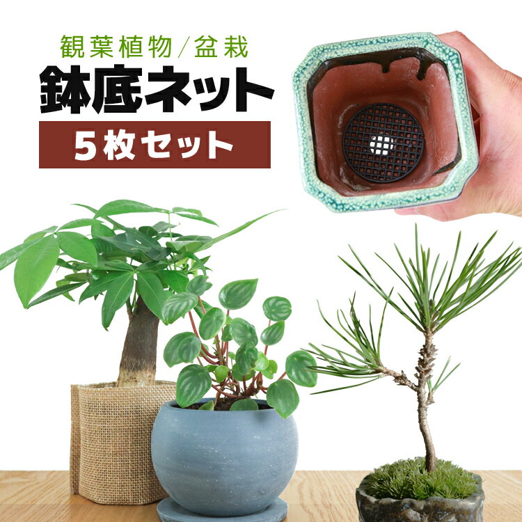 【ブラックフライデー期間中ポイント5倍！】【5枚セット】鉢底ネット 円型 丸型 メッシュ 土漏れ防止 ..
