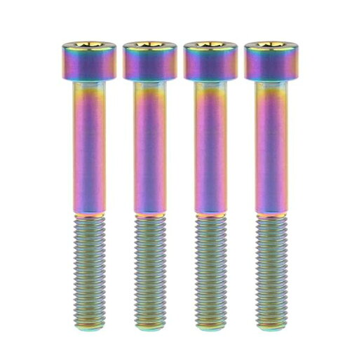 M8x20 25 30 35 40 45 50 60 70 mm DIN912チタン合金 Grade 5 六角穴付きボルト・キャップボルト 4個入り (M8x60mm, でレインボー) M8x20 25 30 35 40 45 50 60 70 mm DIN912チタン合金 Grade 5 六角穴付きボルト・キャップボルト 4個入り (M8x60mm, でレインボー)