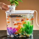 「1」ミニ水槽 プラ製 水槽セット アクアリウム 魚飼育セット 小型水族館 メダカ 熱帯魚 卓上飾リ 多機能 ミニ水族館 水交換なし 観葉植物 飼育セット 水槽...