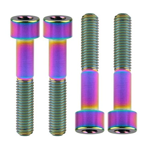 Ruifu DIN912六角穴付きチタン合金ねじボルトスクリュー M10x20 25 30 35 40 45 50 60mm 4個入 (M10X50mm 1.5mm, レインボー) Ruifu DIN912六角穴付きチタン合金ねじボルトスクリュー M10x20 25 30 35 40 45 50 60mm 4個入 (M10X50mm 1.5mm, レインボー)