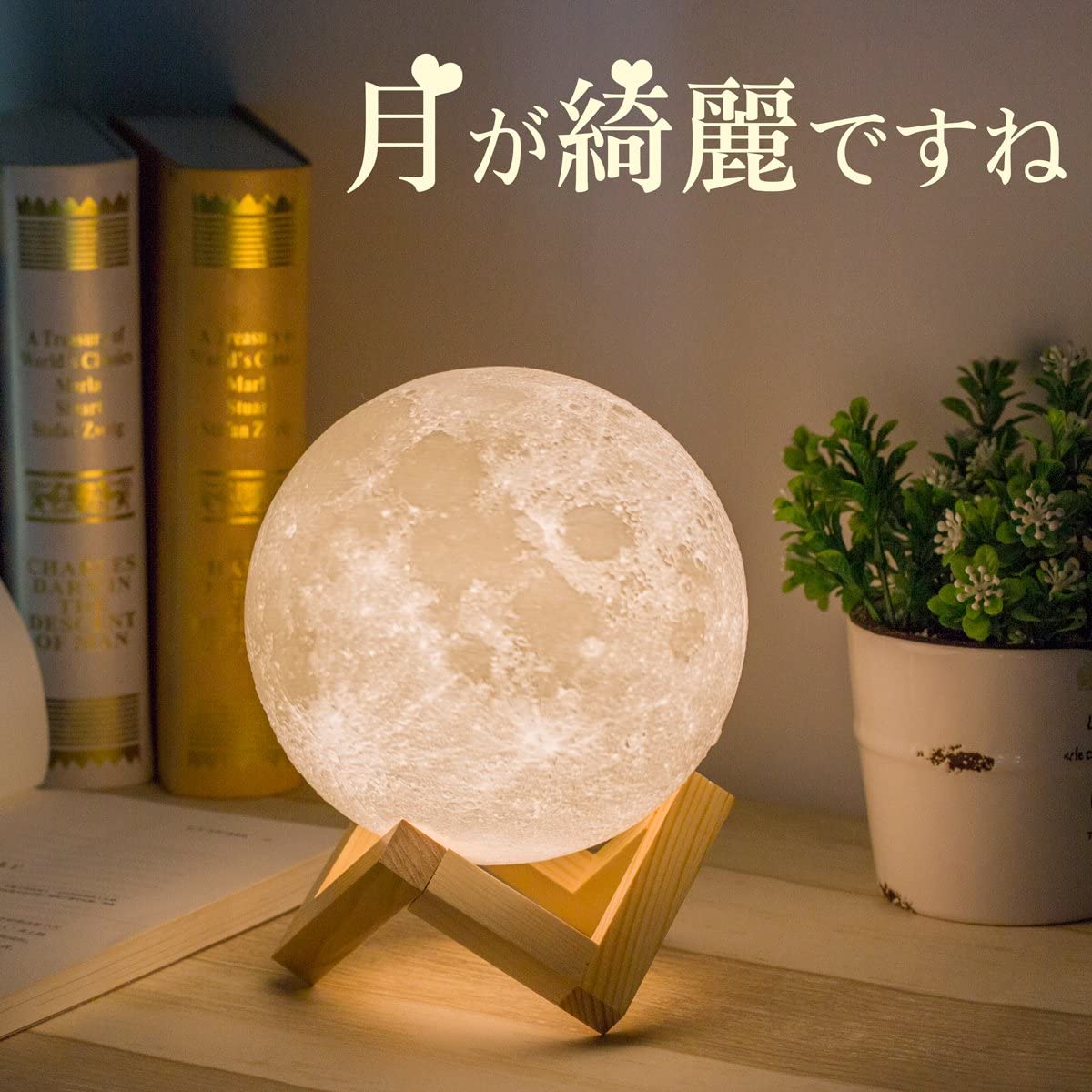  饤 ץ쥼 դ   Х󥿥ǡ ץ쥼 led ե ǥ饤 ɥ饤 ʥȥ饤 USB ̵ʳ...