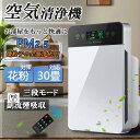 おすすめ 脱臭 PM2.5 ホコリ 花粉 ペット 静音 お手入れ簡単 可視化 検知 空気質 節電 軽量 小型 空気清浄35畳 除菌