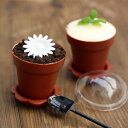 「1」100個植物保育園ポット 湿度ドーム シャベル 小さなプラスチック 植木鉢 アイスクリームカップため 前菜カップ 苗多肉植物 ムースプディング