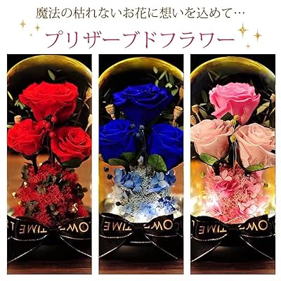 ץꥶ֥ɥե ץ쥼 ʱβ 뺧ǰ  Х ե 饹ݥå  ֤ꤶɥե  ե饤 ɥ饤ե ...