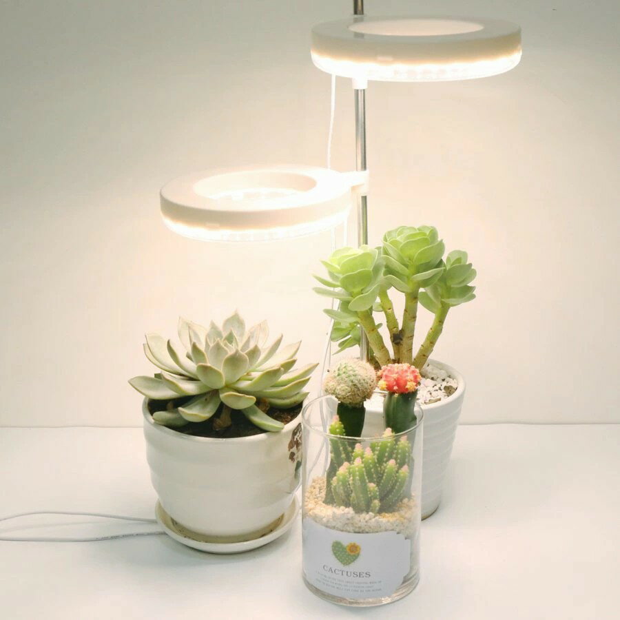 植物育成ライト 室内栽培ランプ LED 植物ライトスマート調光 USB DC 5V 12w 植物の成長 室内用 家庭菜..