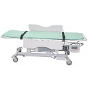 大和製衡 はかり付ストレッチャー (風袋表示) DP-7300PW(4)