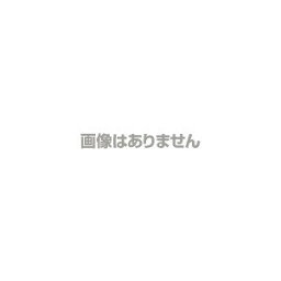 安藤計器 青テリ 水銀棒状温度計 1-28B-48 （－10～360℃）