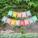 バースデー フラッグガーランド 旗13枚 HAPPY BIRTHDAY DIY カラフル レインボーカラー おしゃれ デコレーション 祭り LST-BIRTHGLD13S