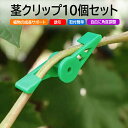 【10個セット】茎クリップ 角度調整可能 植物成長サポート 植物の枝や茎を曲げる 誘引クリップ 園芸用クリップ 蘭農作業 ガーデンツール LST-DPB360S...