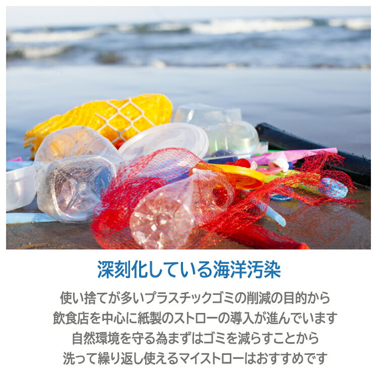 携帯ストロー 洗浄ブラシ付き ポケットストロー マイストロー 伸縮式 折り畳み コンパクト サステナブル カラビナ付き 携帯便利 FLST304